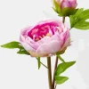17in Long Light Purple Half Moon Peony, Case of 12