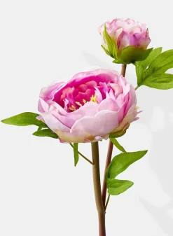 17in Long Light Purple Half Moon Peony, Case of 12
