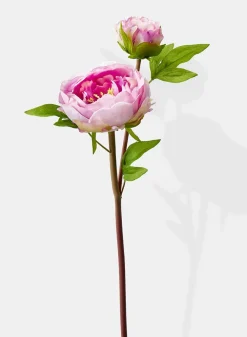 17in Long Light Purple Half Moon Peony, Case of 12