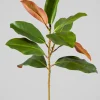 21in Long Magnolia Spray, Case of 12
