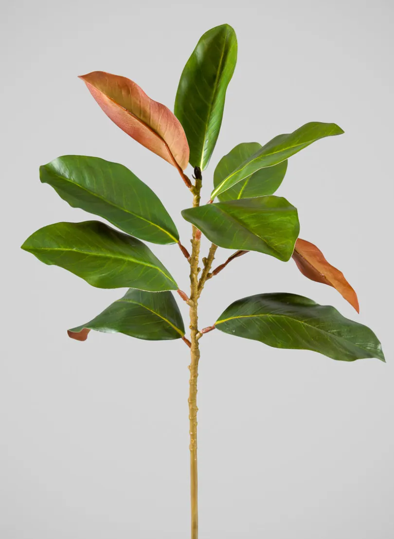 21in Long Magnolia Spray, Case of 12