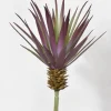 7.5in Long Marginata Pick, Case of 12