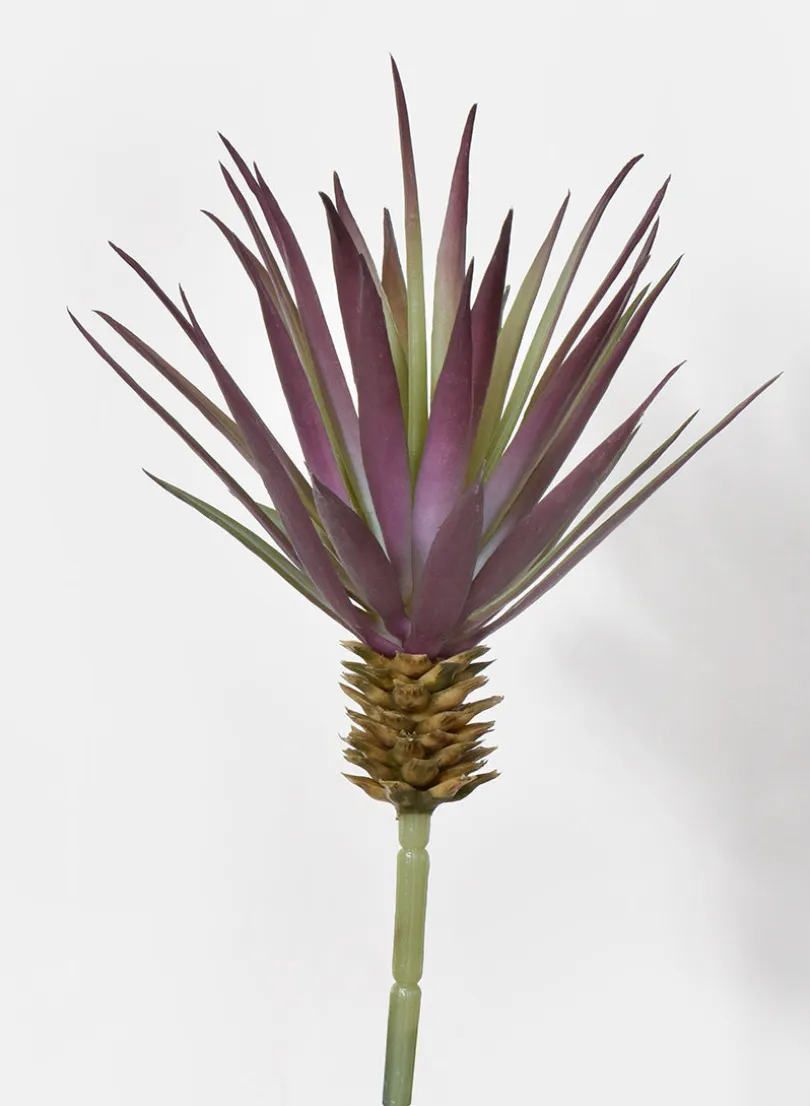 7.5in Long Marginata Pick, Case of 12