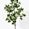 22in Long Milan Leaf Bush, Case of 12