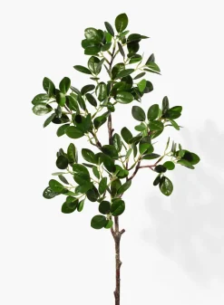 22in Long Milan Leaf Bush, Case of 12