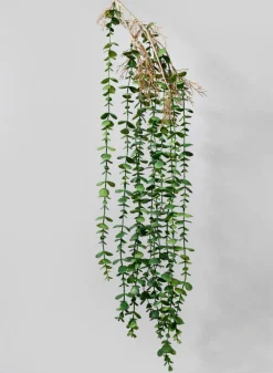 39in Long Mini Eucalyptus Hanging, Case of 12