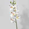 21in Long Mokara Orchid Spray, Case of 12