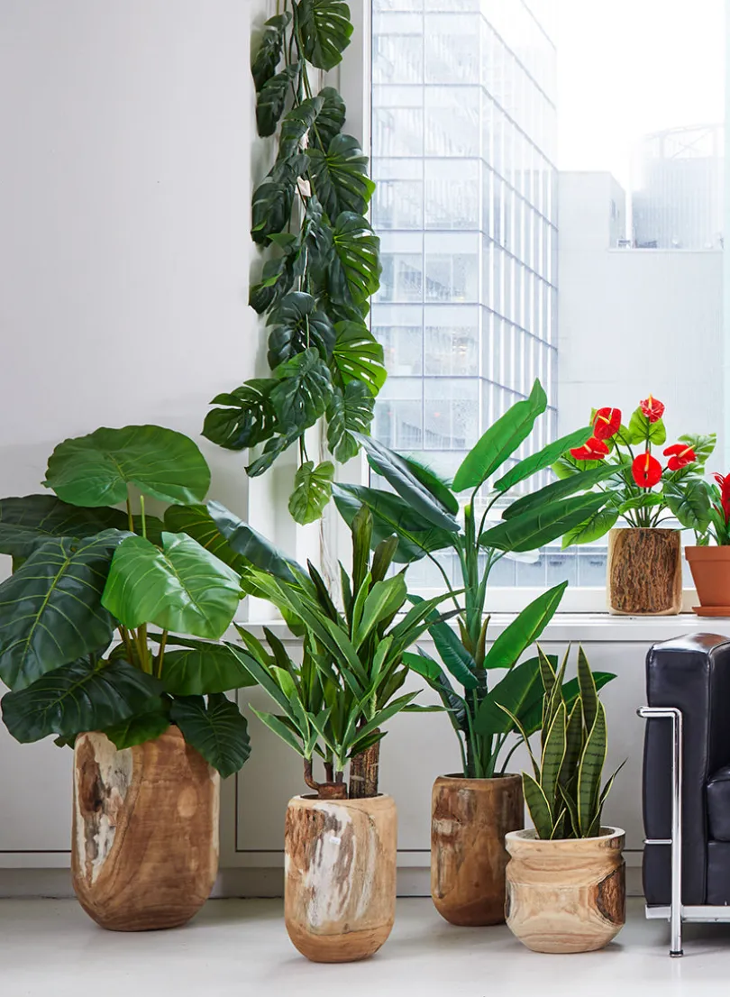71in Long Monstera Leaf Vine
