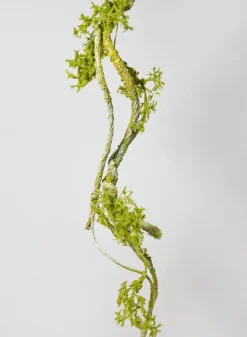 35in Long Mossy Vine Branch, Case of 6