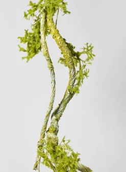 35in Long Mossy Vine Branch, Case of 6