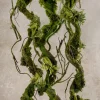 52in Long Mossy Vine, Case of 8