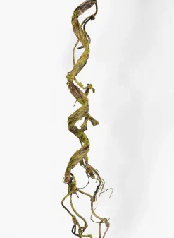 49in Long Mossy Vine, Case of 12