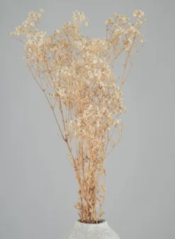 28in Long Natural Dried Baby's Breath Bundle