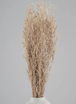 26in Long Natural Dried Linum Grass Bunch