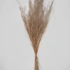 30in Long Natural Fixweed Bunch