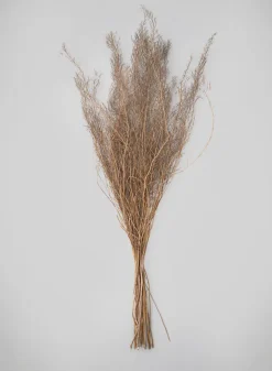 30in Long Natural Fixweed Bunch