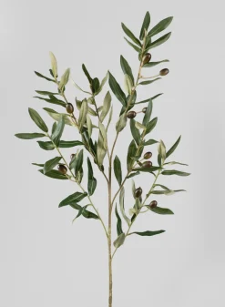 41in Long Olive Branch Spray, Case of 12