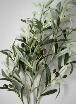 39in Long Olive Branch with Olives, Case of 6