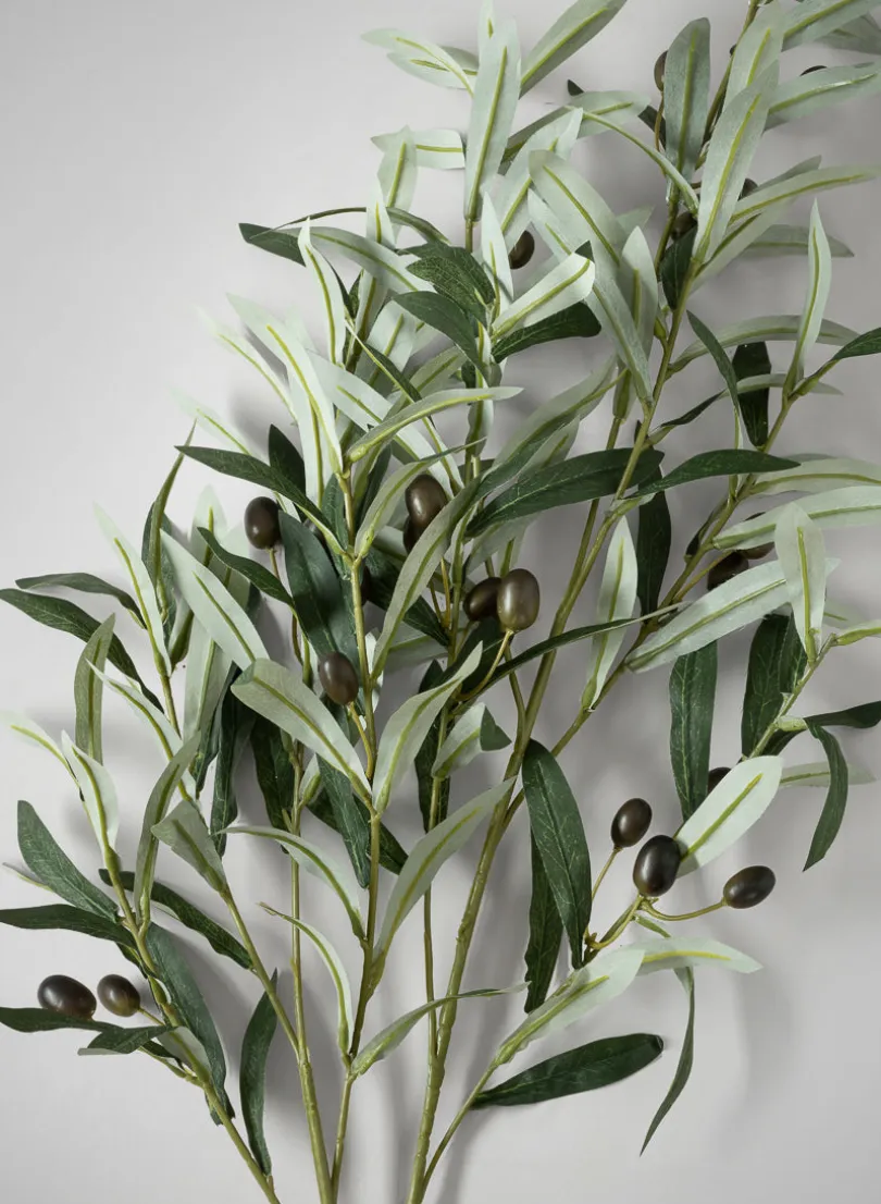 39in Long Olive Branch with Olives, Case of 6