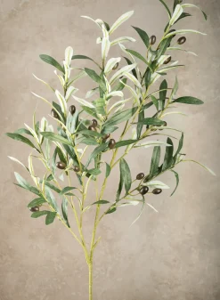 39in Long Olive Branch with Olives, Case of 6
