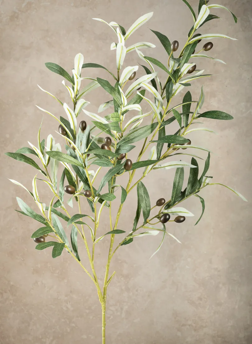 39in Long Olive Branch with Olives, Case of 6