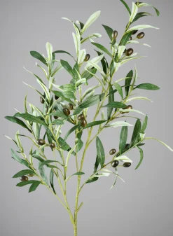 39in Long Olive Branch with Olives, Case of 6