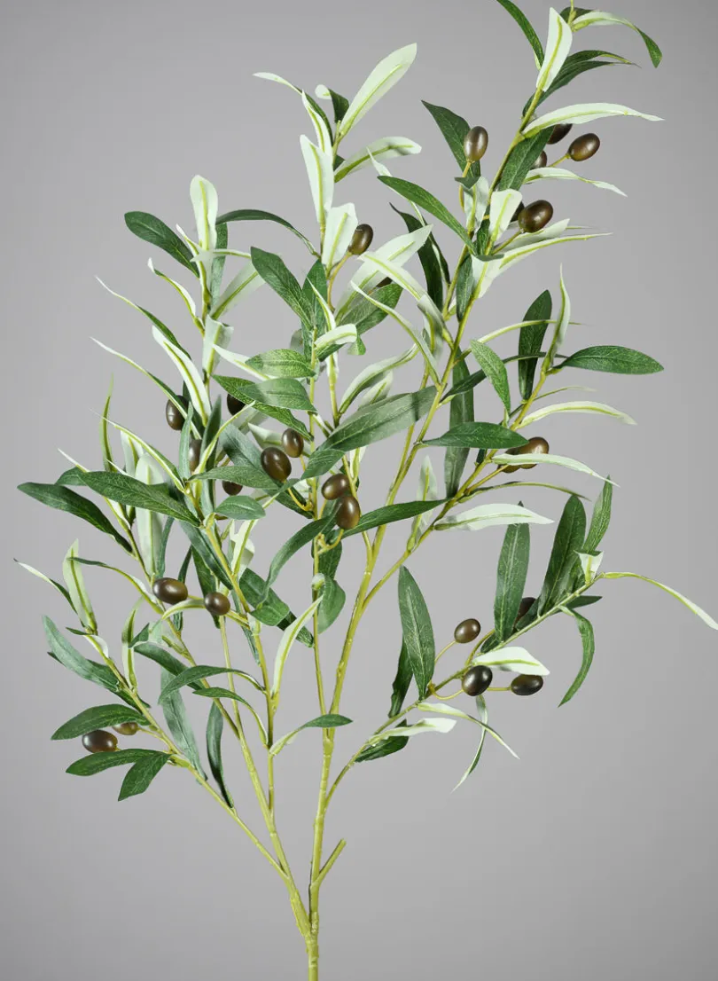 39in Long Olive Branch with Olives, Case of 6