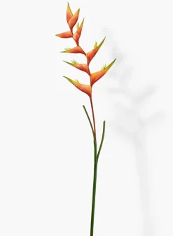 53in Long Orange Heliconia Stem
