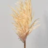 32in Long Pampas Grass, Case of 12