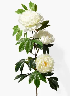 43in Long Peach Peony Spray, Case of 6