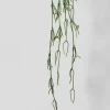 45in Long Pencil Cactus Vine, Case of 12