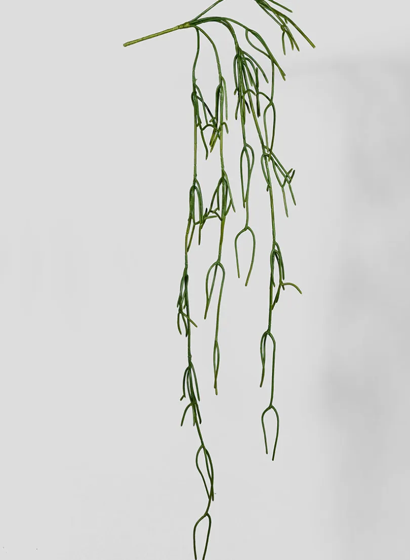 45in Long Pencil Cactus Vine, Case of 12