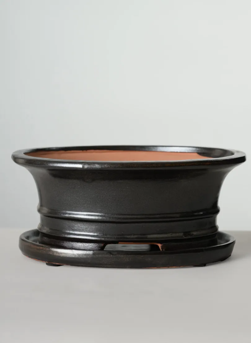 10in Long Penjing Oval Bonsai Ceramic Pot with Saucer, Chocolate Brown