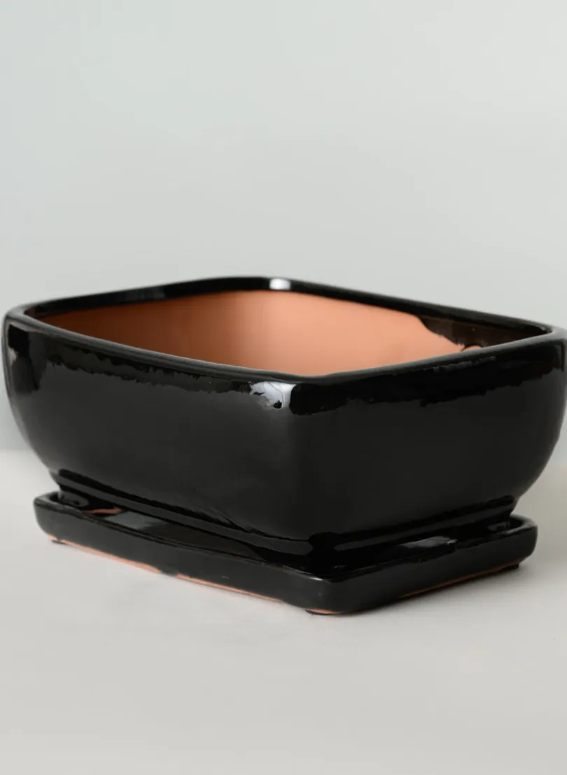 11in Long Penjing Rectangle Bonsai Ceramic Pot with Saucer, Gloss Black