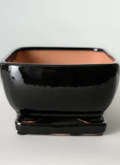 11in Long Penjing Rectangle Bonsai Ceramic Pot with Saucer, Gloss Black