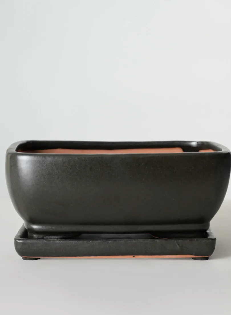 8.5in Long Penjing Rectangle Bonsai Ceramic Pot with Saucer, Matte Black