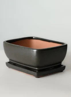 8.5in Long Penjing Rectangle Bonsai Ceramic Pot with Saucer, Matte Black