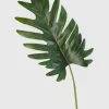 19in Long Philodendron Leaf, Case of 12