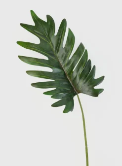 19in Long Philodendron Leaf, Case of 12