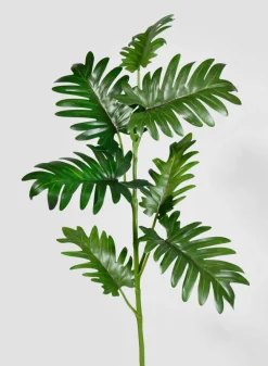 35.5in Long Philodendron Leaf Spray, Case of 12
