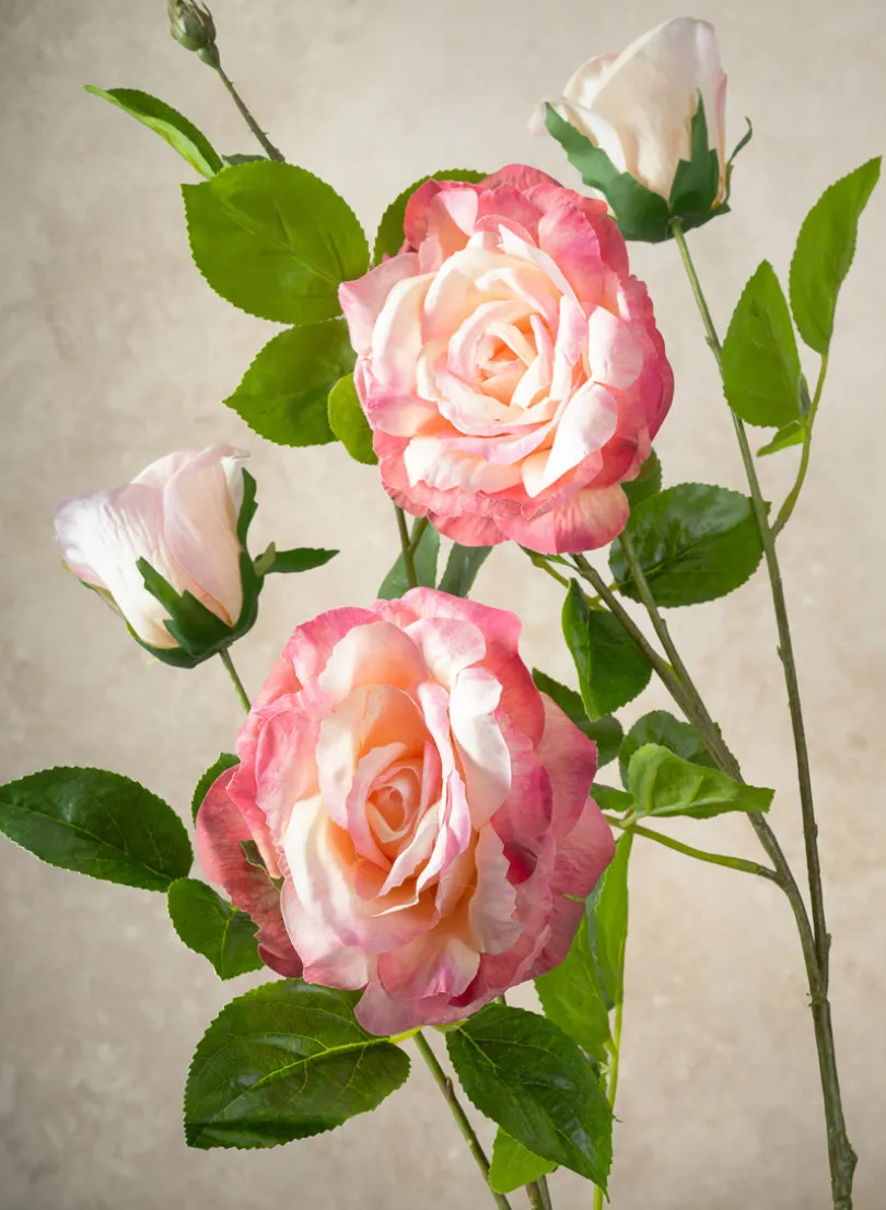 32in Long Pink Real Touch Garden Rose Spray, Case of 12