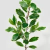 32in Long Pittosporum Leaf Spray, Case of 12