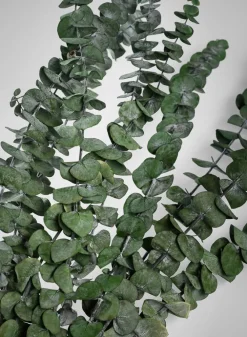 28in Long Preserved Baby Blue Eucalyptus Bunch