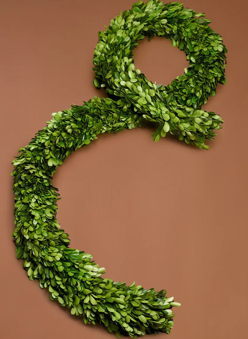 72in Long Preserved Boxwood Garland