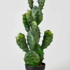 27in Long Prickly Pear Cactus