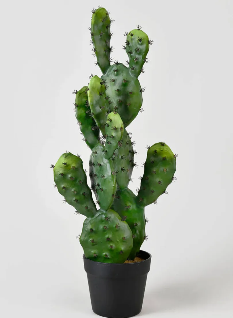 27in Long Prickly Pear Cactus