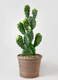 27in Long Prickly Pear Cactus