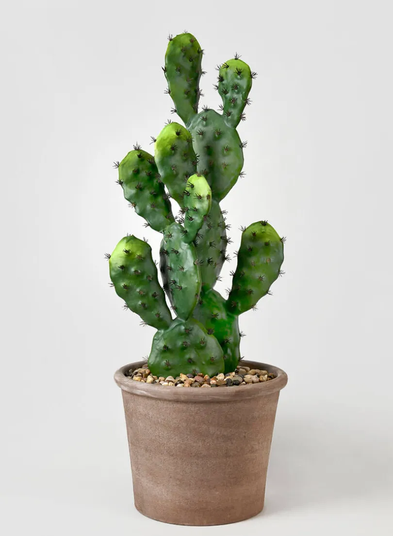 27in Long Prickly Pear Cactus