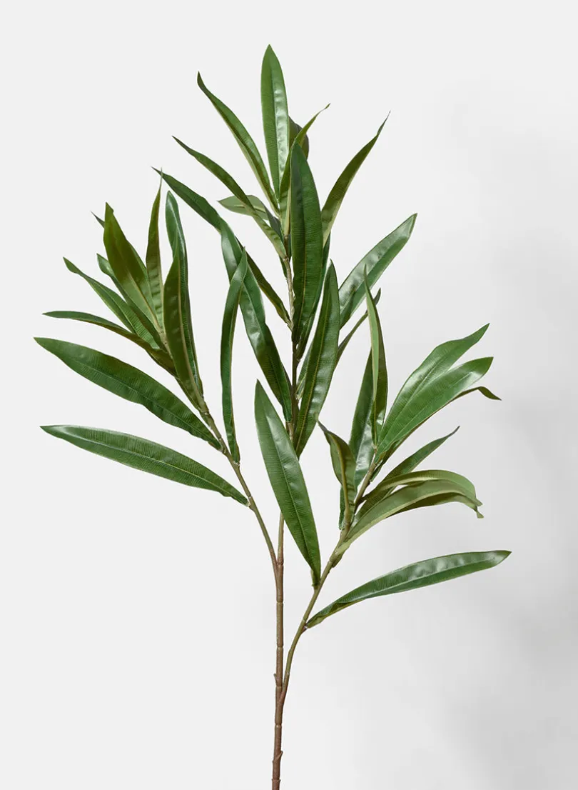 30in Long Primrose Willow Spray, Case of 12