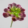 6in Long Purple Echeveria Pick, Case of 12